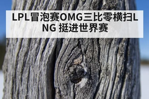 LPL冒泡赛OMG三比零横扫LNG 挺进世界赛