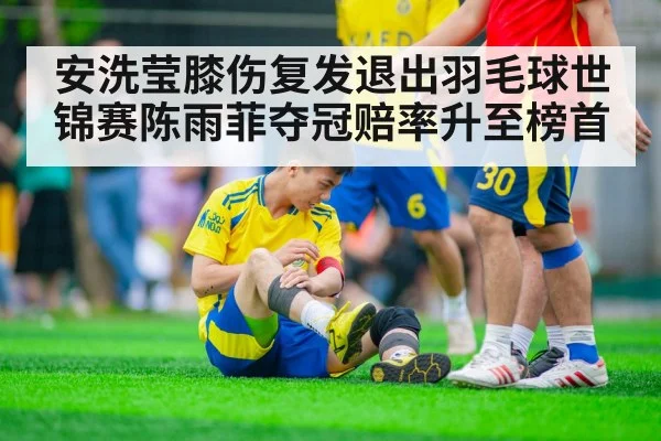 安洗莹膝伤复发退出羽毛球世锦赛陈雨菲夺冠赔率升至榜首